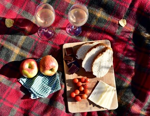 Warm autumn day with cozy outdoor picnic setting in gorgeous fall colour park with tasty gourmet food and drink