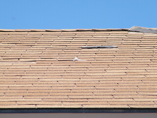 Roof Shingle Damage from Wind.