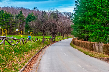Road through the forest, Fruska gora, Serbia