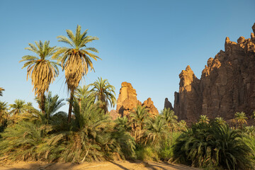 Fototapeta na wymiar Wadi Al Disah valley views in Tabuk region of western Saudi Arabia