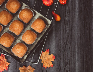 Obraz na płótnie Canvas pumpkin muffins Pumpkin muffins on an iron grate and maple leaves lie on the left on a black wooden table with space for text on the right, close-up top view.