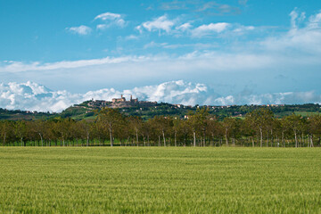 Fototapeta premium Landscapes of Marche , Italy: countryside.