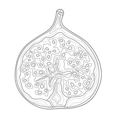 Fig. Fruit.Coloring book antistress for children and adults. Illustration isolated on white background.Black and white drawing.Zen-tangle style.