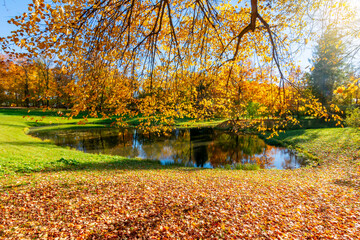 Pond in Catherine park in autumn, Tsarskoe Selo (Pushkin), Saint Petersburg, Russia