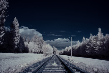 infrared photography - ir photo of landscape with tree under sky with clouds - the art of our world...