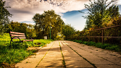 Obraz premium Bench in the park