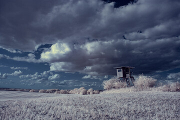 infrared photography - ir photo of landscape with tree under sky with clouds - the art of our world...