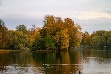 Obraz premium autumn in the park