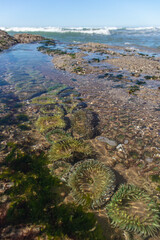 Hug point nature area in Oregon