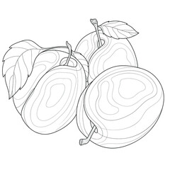 Plums. Fruit. Anti-stress Coloring book for children and adults. Illustration isolated on white background. Black and white drawing. Zen tangle style.