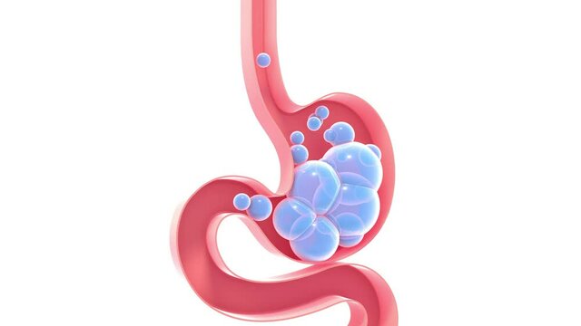 3D animation of the schematic interior of the human stomach with gases. Empty flat illustration, silhouette isolated on white background with vivid colors.