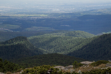 forest from the top of mount tlaloc mexico