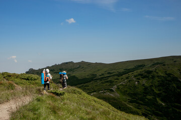 Obraz premium Hiking team, teamwork concept, successful team, successful team standing on the top of the mountain, a team of male and female climbers raised