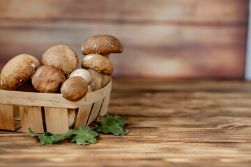 Mushroom Boletus over Wooden Background. Autumn Cep Mushrooms. Ceps Boletus edulis over Wooden Background, close up on wood rustic table. Cooking delicious organic mushroom. Gourmet food