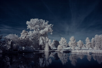 infrared photography - ir photo of landscape with tree under sky with clouds - the art of our world...