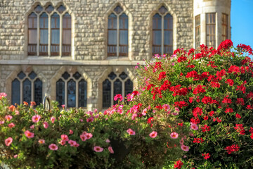 Fototapeta na wymiar Small garden with pink and red flowers, with the Casa Botines building in the background, Municipio de Leon, capital of the province of Leon, Spain