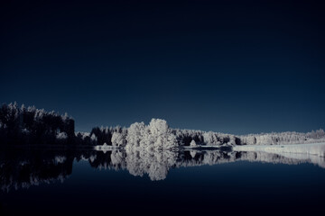 infrared photography - ir photo of landscape with tree under sky with clouds - the art of our world...