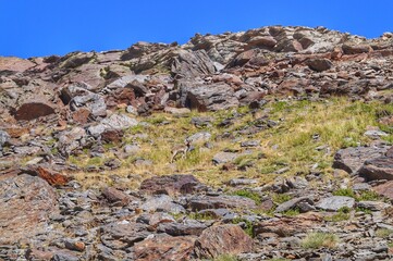landscape in the desert