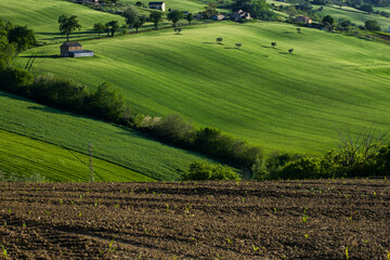 Landscapes of Marche , Italy: countryside.