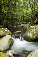 石の間を流れる渓流