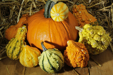 Collection of Gourds