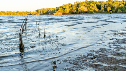Twigs break the surface of a lake on an Autumn evening