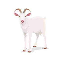 White goat, cartoon vector nanny, chinese horoscope animal. China lunar new year zodiac symbol for 2027, oriental culture and tradition. Husbandry, cattle farm goat mascot front view isolated icon