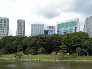 秋の日本庭園（東京）
