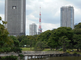秋の日本庭園（東京）
