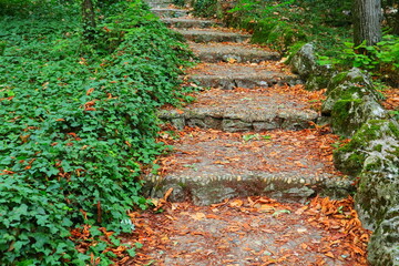 path with stairs in the garden  covered with red autum leaves and grass on the sides, park, woodland, garden, autum, fall,