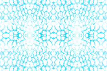 Animal Crocodile Texture. 