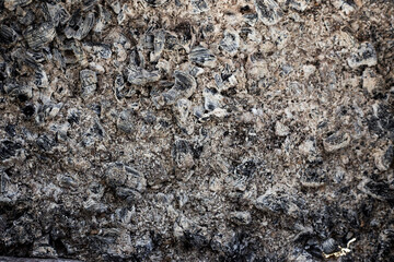texture of stone