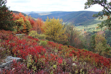 autumn in the mountains 