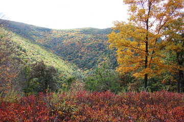 Fototapeta premium Autumn Scenes in a Pennsylvania Valley