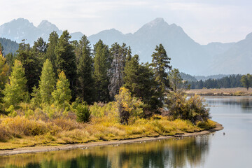 Fototapeta na wymiar Landscape view of the fall colors in Grand Teton National Park (Wyoming).