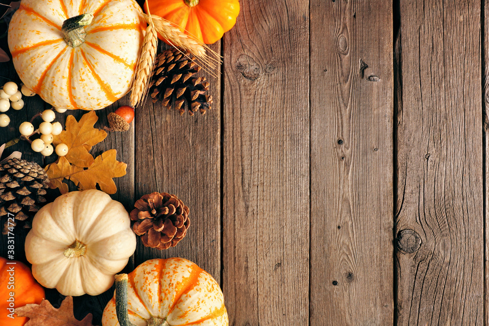 Poster natural fall side border of pumpkins and leaves. top view on a rustic dark wood background with copy