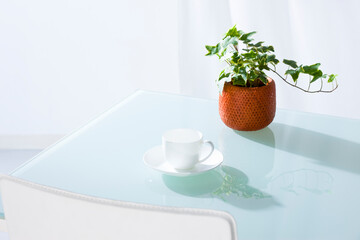 観葉植物とコーヒーカップ