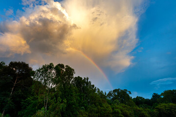 Clouds sunset with Rainbow  after rain in forest