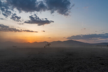 Obraz premium Wild horses run in foggy at sunset. Between Cappadocia and Kayseri, Turkey