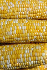 Delicious Sweet Corn on the Cob