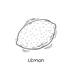 Hand drawn vector lemon fruit.