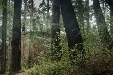 Rubén Ostria Baltazar