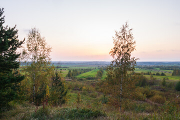 Sunset in nature against the backdrop of forest,
