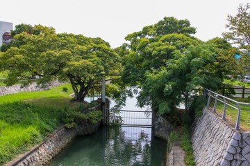 Fototapeta premium 九華公園