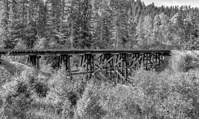 Railroad bridge with trees in black and white