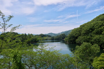 茂みの向こうに見える池
