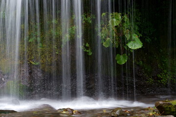 沢山の美しい流線を描く滝の風景　-吐竜の滝、北杜市、山梨県、日本
