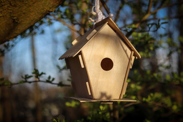 bird house on tree