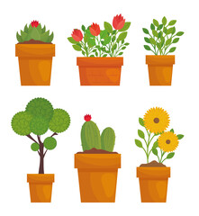 Gardening plants and flowers with leaves in pots design, garden planting and nature theme Vector illustration