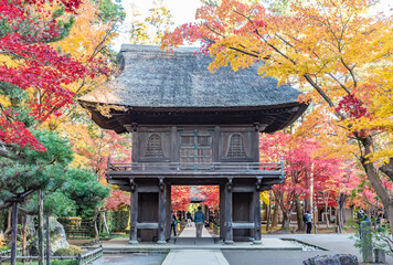 Beautiful autumn foliage at the Heirin-ji Temple in Saitama Prefecture, Japan.